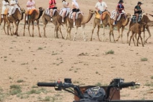 Marrakech Woestijn: Zwembad, Quadrijden, Zonsondergang Diner Vuurshow