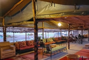 Marrakech Woestijn: Zwembad, Quadrijden, Zonsondergang Diner Vuurshow