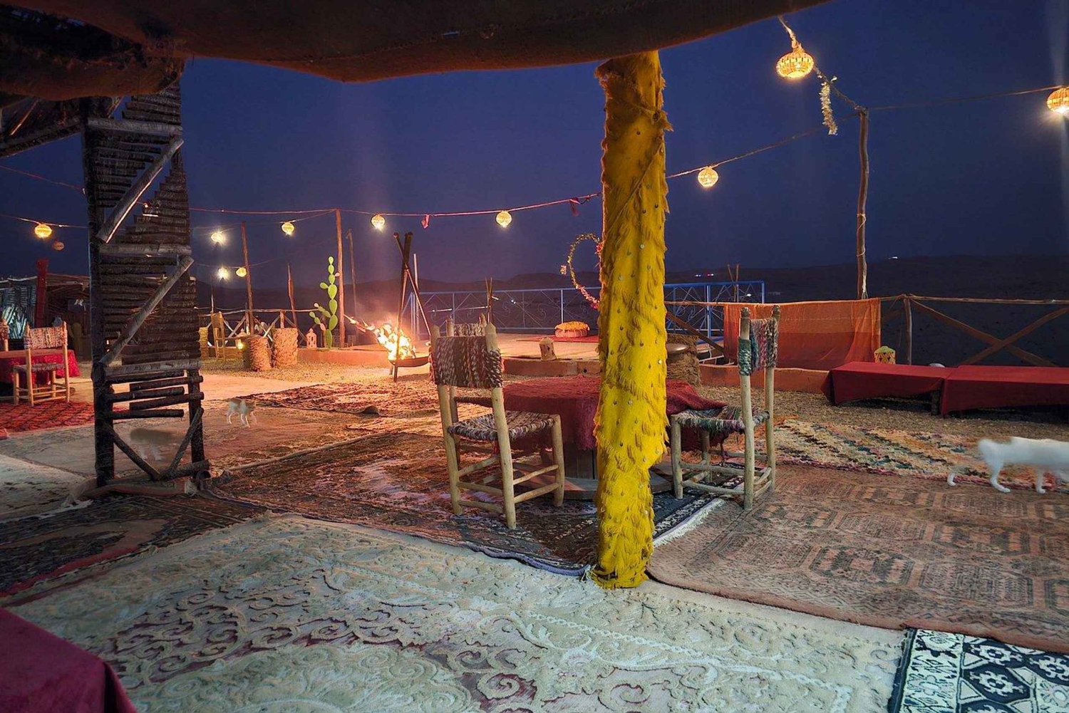 Marrakech: Ørken-tur på firhjuling med te og valgfri middag