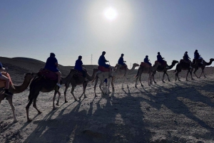 Marrakech: Ørken-tur på firhjuling med te og valgfri middag