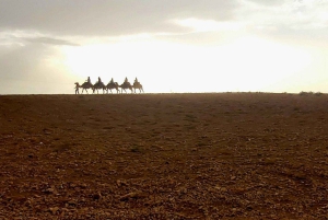 Marrakech: Ørken-tur på firhjuling med te og valgfri middag
