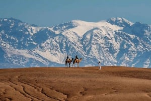 Lunch & Camel Ride and Quad Biking in Agayaf desert