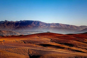 Lunch & Camel Ride and Quad Biking in Agayaf desert