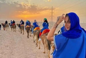 Marrakech: Woestijnsafari, quad, kameel, dinnershow en zwembad