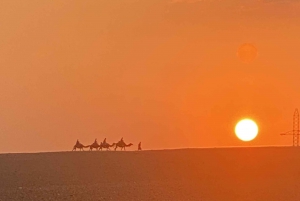 Marrakesz: Safari na pustyni, quady, wielbłądy, kolacja z pokazem i basen