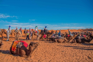 Marrakech Desert Tour: 3 Days with Camel, Quad & Campfire