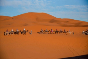 Marrakech Desert Tour: 3 Days with Camel, Quad & Campfire
