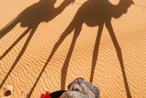 Marrakech Desert Tour: 3 Days with Camel, Quad & Campfire