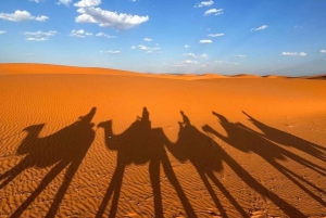 Marrakech Desert Tour: 3 Days with Camel, Quad & Campfire