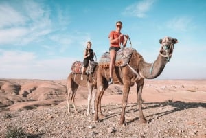 Marrakech Agafay Desert Tour Camel's sunset With Dinner Show