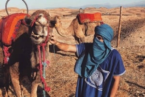 Tour del deserto di Marrakech Agafay Tramonto del cammello con cena spettacolo