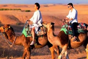 Marrakech: Cena e Quad nel deserto Agafay Stars & show