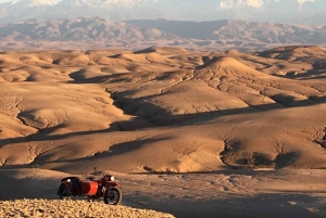 Marrakech: Agafay Desert Camel Ride with Dinner and Sunset