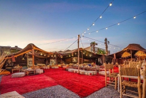 Marrakech: Middag i Agfay-öknen, kamelridning och eldshow