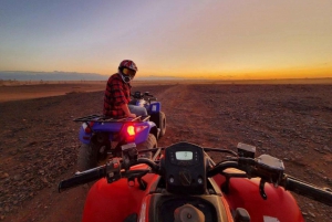 Marrakech: Dinner show with quad bike & sunset