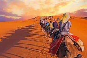 Marrakech: Quad e cammelli al tramonto e cena con spettacolo del fuoco
