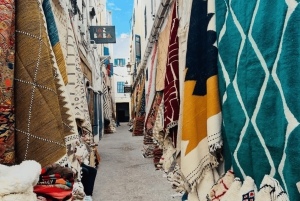 マラケシュ発：エッサウィラへの少人数1日ツアー（港とビーチ）