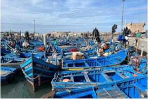 Marrakech: Dagsutflykt till Essaouira med guidad tur