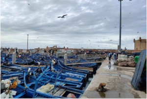 Marrakech: Dagsutflykt till Essaouira med guidad tur