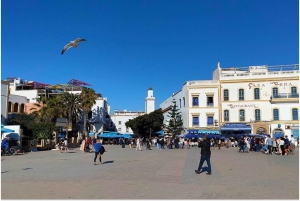Marrakech: Dagsutflykt till Essaouira med guidad tur
