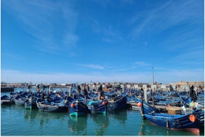 Marrakech: Dagsutflykt till Essaouira med guidad tur