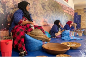 Marrakech: Dagsutflykt till Essaouira med guidad tur