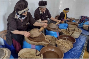 Marrakech: Dagsutflykt till Essaouira med guidad tur