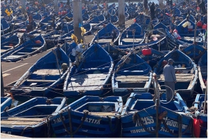 Marrakech: Dagsutflykt till Essaouira med guidad tur