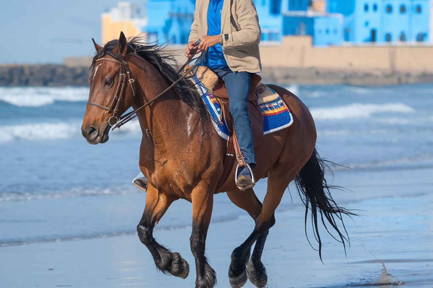 Marrakech: Dagtrip Essaouira met paardrijervaring