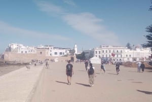 Marrakech: Essaouira Day Trip with Women's Argan Co-Op Visit