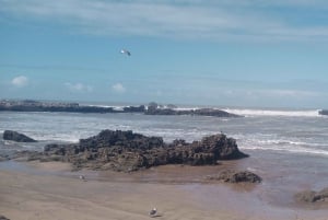 Marrakech: Excursión de un día a Essaouira con visita a la Cooperativa de Mujeres de Argán