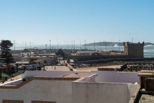 Marrakech: Essaouira-dagstur med besøg i kvindernes Argan-kooperativ