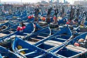 Marrakech: Viagem de 1 dia a Essaouira com visita à cooperativa de mulheres de Argan