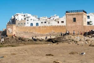 Marrakech: Dagtrip Essaouira met bezoek aan de Argan Co-Op voor vrouwen