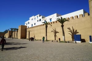 Marrakesz: 1-dniowa wycieczka do Essaouiry z wizytą w kobiecej spółdzielni arganowej