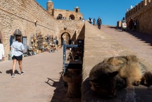 Marrakech: Essaouira-dagstur med besøg i kvindernes Argan-kooperativ