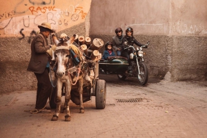 Marrakesz - 1h30 Jazda wózkiem bocznym - poza utartymi szlakami
