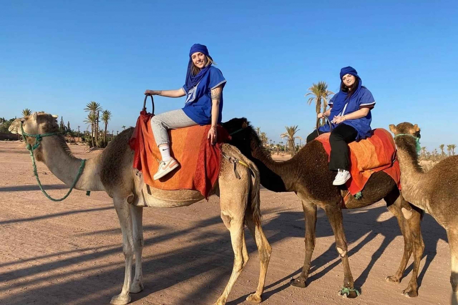 Marrakech : Exciting Camel Ride in Palmeraie