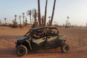 Marrakech: 1000cc Buggy trip to the palm grove and tea