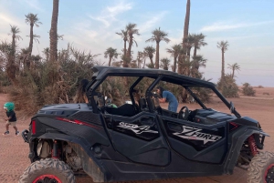 Marrakech: 1000cc Buggy trip to the palm grove and tea