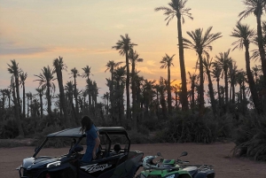 Marrakech: 1000cc Buggy trip to the palm grove and tea