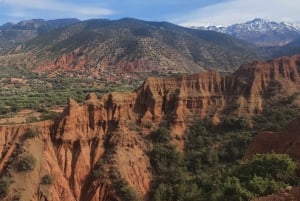 Marrakech: Ausflug in das Ourika-Tal und das Atlasgebirge