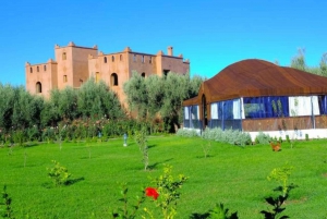 Marrakech : Experience Classes, Cooking, Pottery and Mosaic
