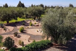 Marrakech : Experience Classes, Cooking, Pottery and Mosaic