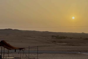 Marrakech:Verken woestijn Agafay Kameel&Quad met Diner&Show