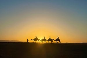 Marrakech:Explorer le désert Agafay Camel&Quad avec Dîner&Spectacle