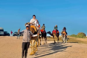 Marrakech:Esplora il deserto Agafay Camel&Quad con cena&spettacolo