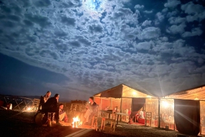 Marrakech:Verken woestijn Agafay Kameel&Quad met Diner&Show