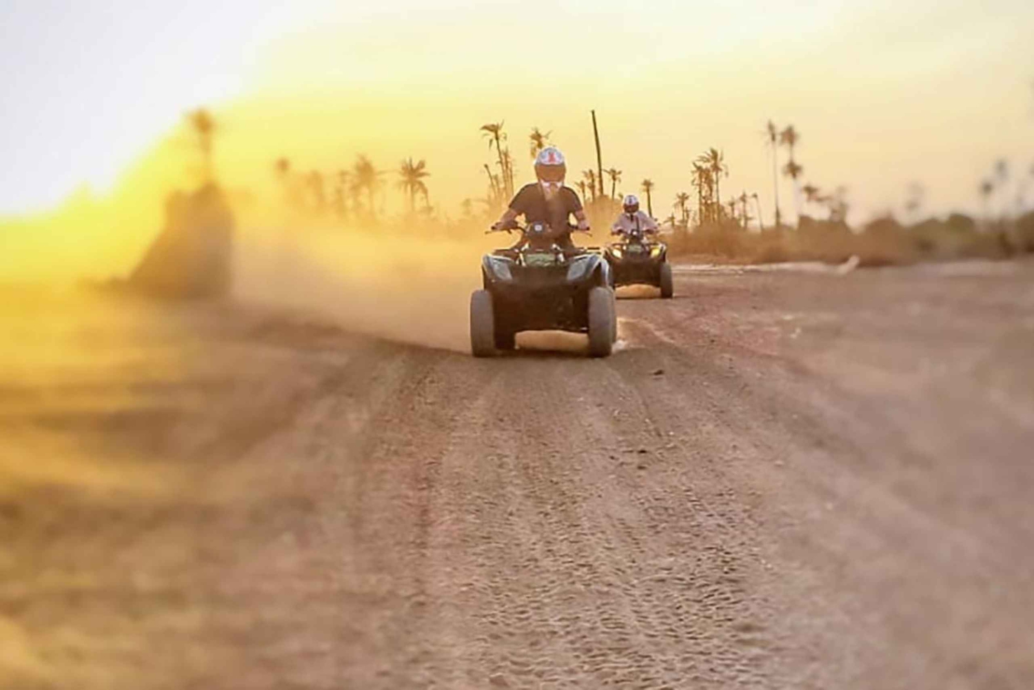 Marraquexe, explora o deserto de palmeiras em moto-quatro