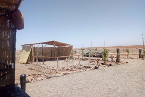 Marraquexe, explora o deserto de palmeiras em moto-quatro